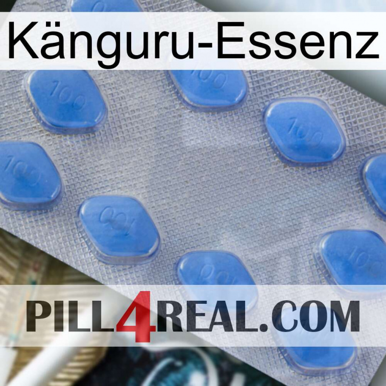 Känguru-Essenz 21